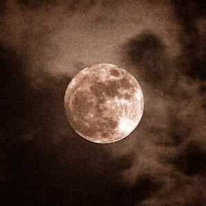 هلیا کاشانی 